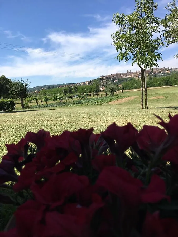 Guest house La Macine Hotel Monte San Savino Italy